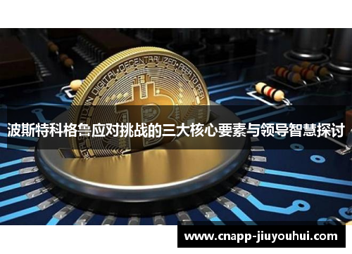 波斯特科格鲁应对挑战的三大核心要素与领导智慧探讨